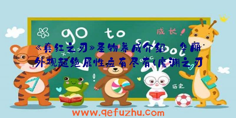 《真红之刃》圣物养成介绍